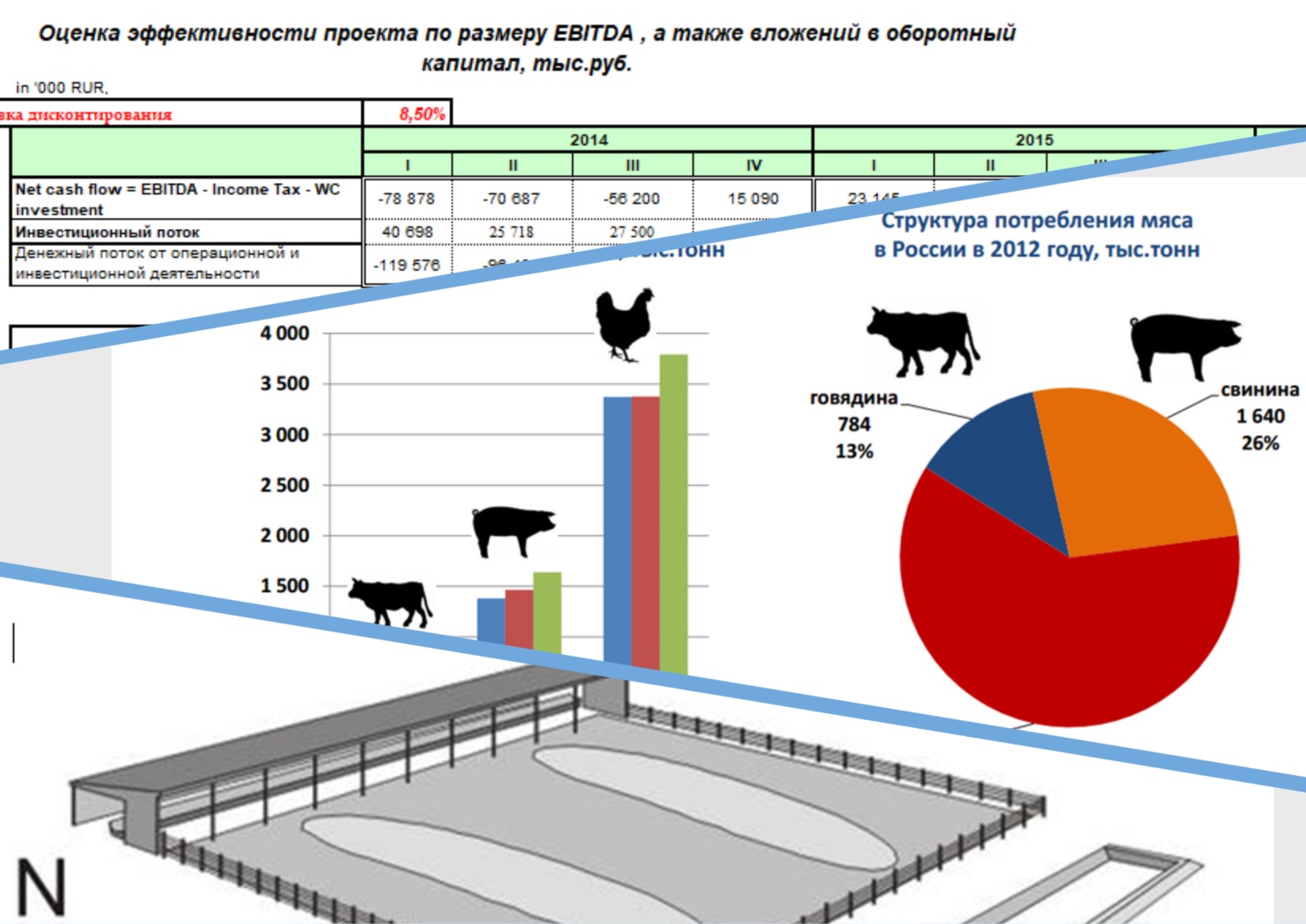 Бизнес-план: инвестиции в строительство фермы на 10 000 голов