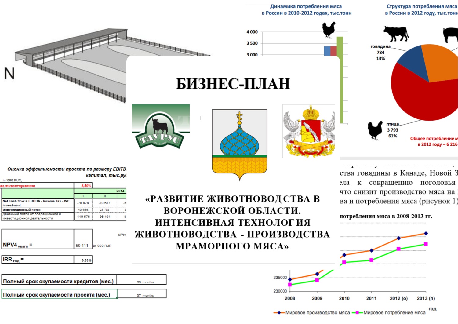Бизнес-план: инвестиции в строительство фермы на 10 000 голов