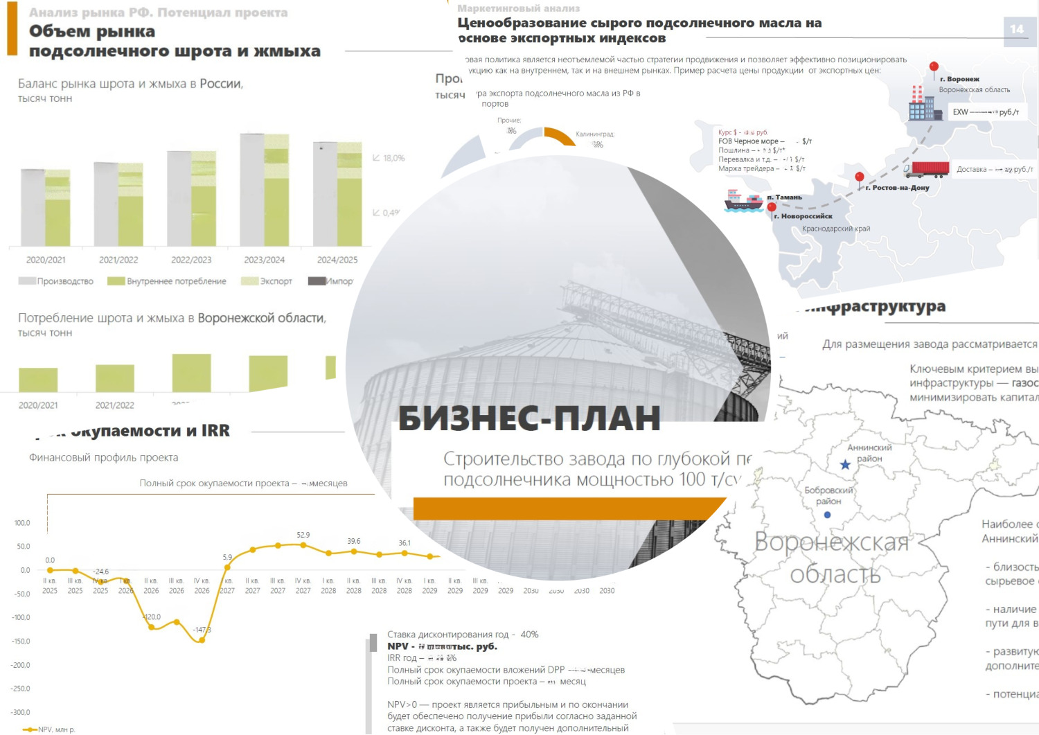 Бизнес-план строительства маслоперерабатывающего завода — 2